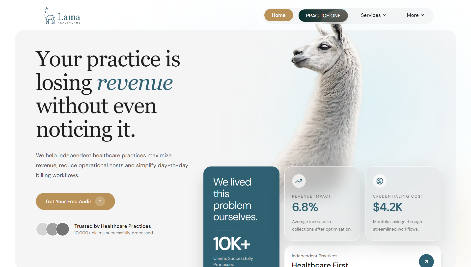 Lama Healthcare operational product interface